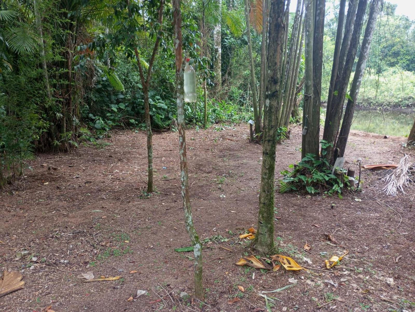 Camping Monte Hermom Ubatuba Exterior foto